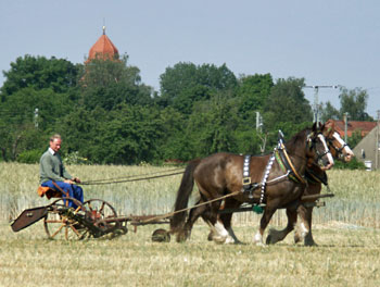 vergr&ouml;&szlig;ern